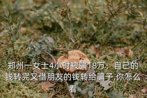鄭州一女士4小時被騙18萬，自己的錢轉(zhuǎn)完又借朋友的錢轉(zhuǎn)給騙子,你怎么看