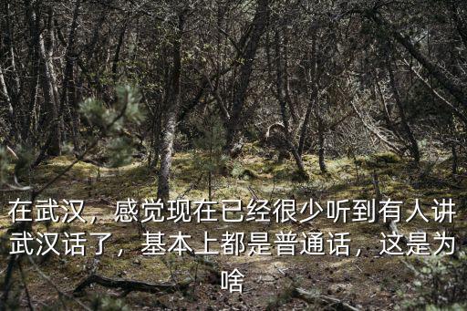 在武漢，感覺現在已經很少聽到有人講武漢話了，基本上都是普通話，這是為啥