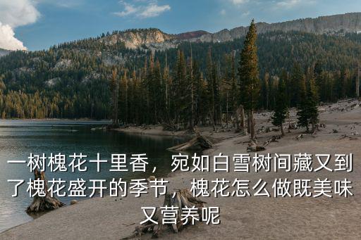 鄭州去哪里槐花,一樹槐花十里香