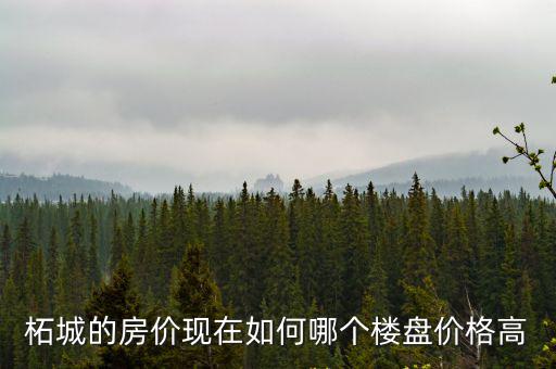 柘城的房價現在如何哪個樓盤價格高