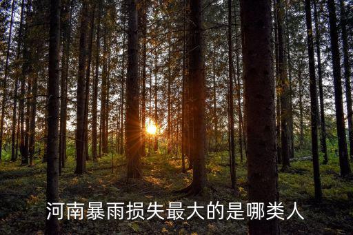 河南暴雨損失最大的是哪類人