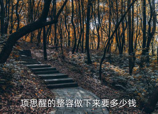 項思醒的整容做下來要多少錢