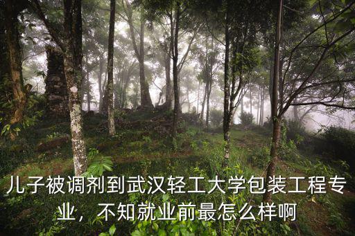 兒子被調劑到武漢輕工大學包裝工程專業，不知就業前最怎么樣啊