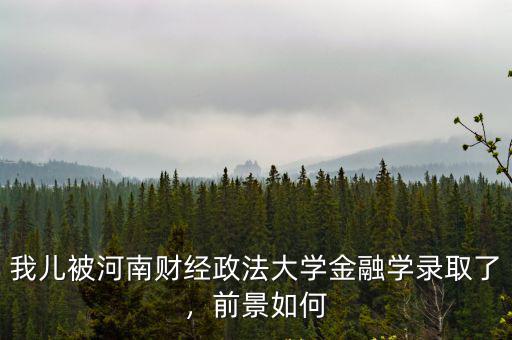 我兒被河南財(cái)經(jīng)政法大學(xué)金融學(xué)錄取了，前景如何
