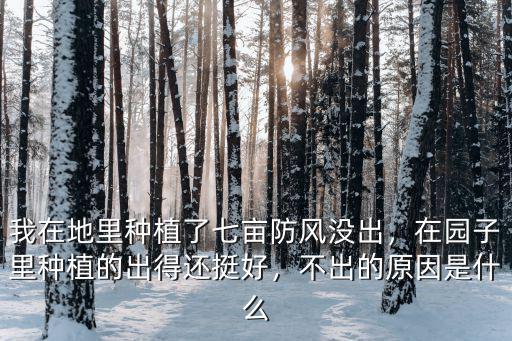 我在地里種植了七畝防風沒出，在園子里種植的出得還挺好，不出的原因是什么