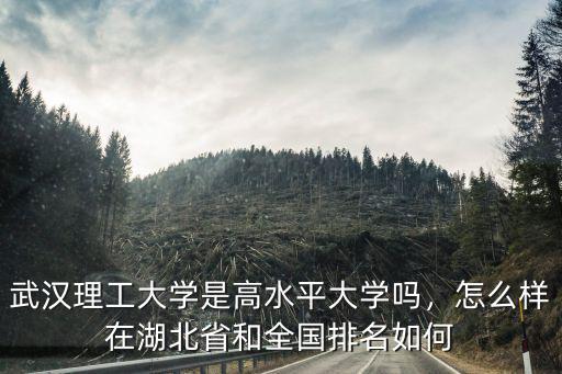 武漢理工大學是高水平大學嗎，怎么樣在湖北省和全國排名如何