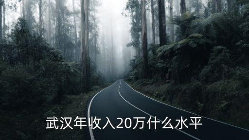 武漢年收入20萬(wàn)什么水平