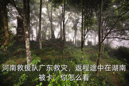 洛陽神鷹救援隊在哪里救災,河南救援隊廣東救災