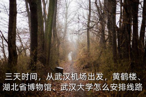 武漢機(jī)場到黃鶴樓怎么去,從武漢機(jī)場出發(fā)