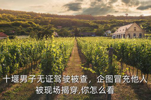 十堰男子無證駕駛被查，企圖冒充他人被現場揭穿,你怎么看