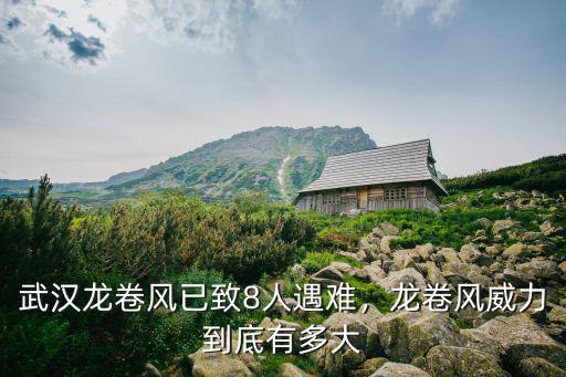 武漢龍卷風(fēng)已致8人遇難，龍卷風(fēng)威力到底有多大