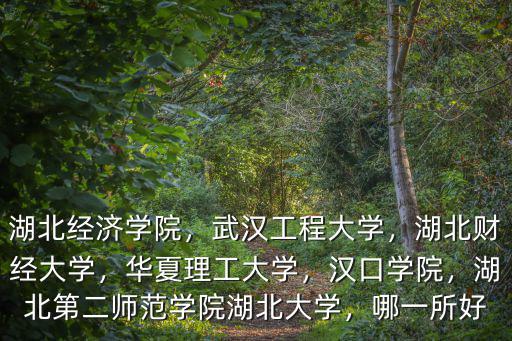 湖北第二學(xué)院師范學(xué)院怎么樣,湖北第二師范學(xué)院湖北大學(xué)