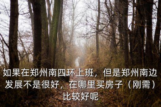 如果在鄭州南四環上班，但是鄭州南邊發展不是很好，在哪里買房子（剛需）比較好呢
