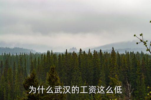 為什么武漢的工資這么低