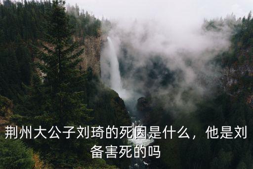荊州大公子劉琦的死因是什么，他是劉備害死的嗎