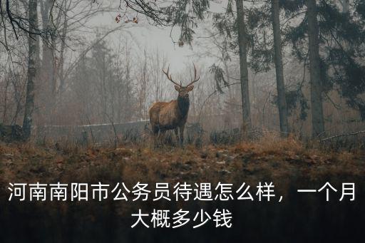 河南南陽市公務員待遇怎么樣，一個月大概多少錢