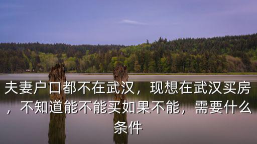 如果武漢沒戶口想買房怎么辦手續,沒有武漢戶口