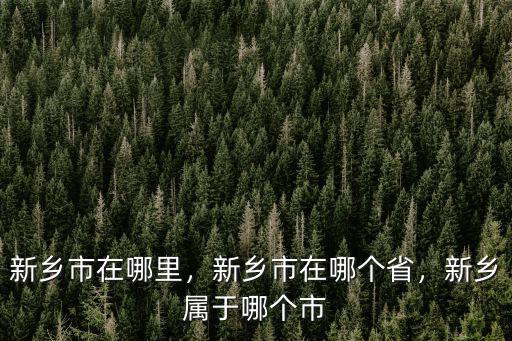 新鄉(xiāng)市下屬縣 多少人口,新鄉(xiāng)市有多少人口