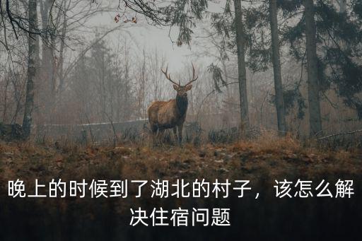 晚上的時候到了湖北的村子，該怎么解決住宿問題