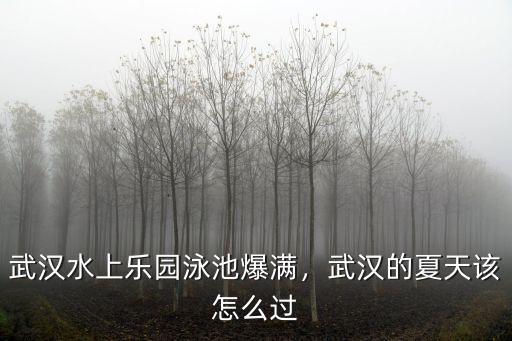 武漢水上樂園泳池爆滿，武漢的夏天該怎么過