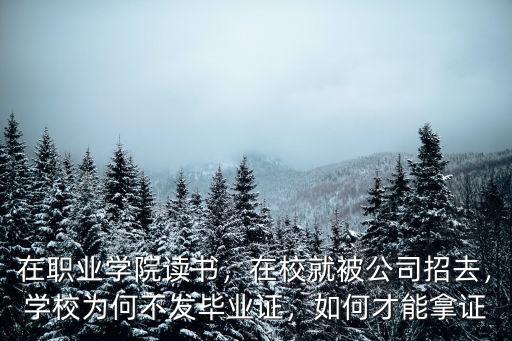 在職業學院讀書，在校就被公司招去，學校為何不發畢業證，如何才能拿證