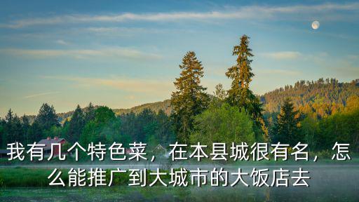 我有幾個特色菜，在本縣城很有名，怎么能推廣到大城市的大飯店去