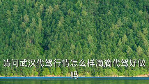 請問武漢代駕行情怎么樣滴滴代駕好做嗎