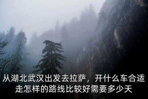 從湖北武漢出發去拉薩，開什么車合適走怎樣的路線比較好需要多少天