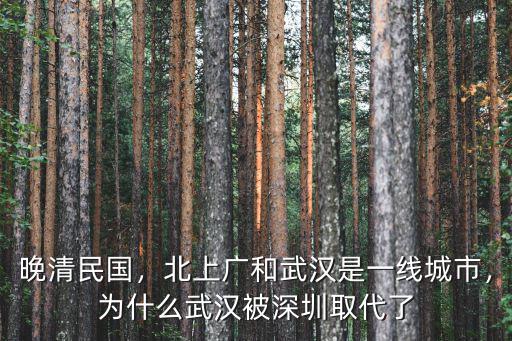 深圳怎么沒(méi)有支援武漢,武漢綜合實(shí)力比深圳強(qiáng)