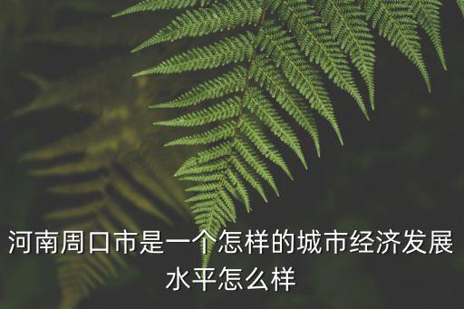 河南周口市是一個怎樣的城市經濟發展水平怎么樣
