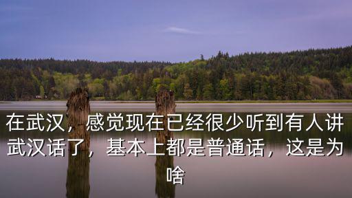 武漢話年輕人怎么說,不會說武漢話