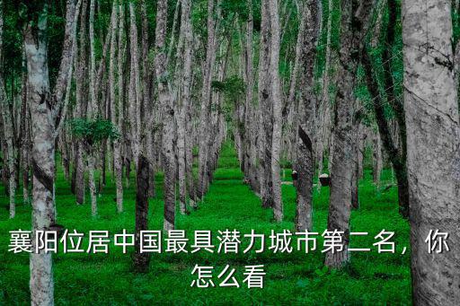 襄陽位居中國最具潛力城市第二名，你怎么看