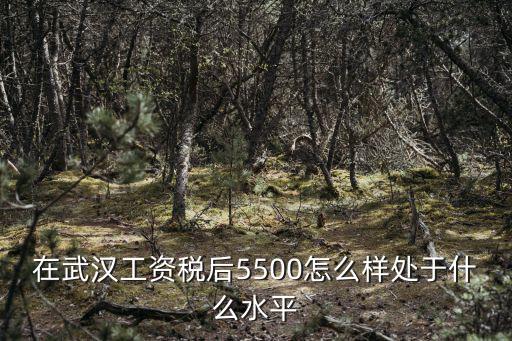 在武漢工資稅后5500怎么樣處于什么水平