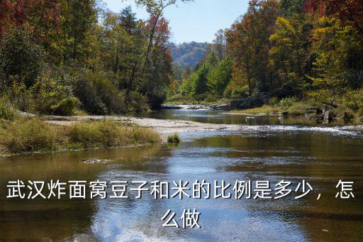 武漢炸面窩的煤氣灶怎么做,武漢面窩是怎么做的