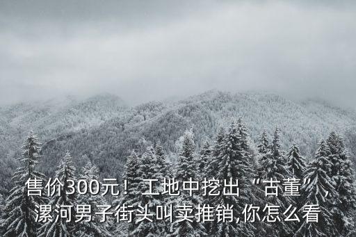 售價300元！工地中挖出“古董”，漯河男子街頭叫賣推銷,你怎么看