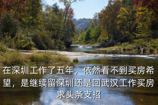 在深圳工作了五年，依然看不到買(mǎi)房希望，是繼續(xù)留深圳還是回武漢工作買(mǎi)房求頭條支招