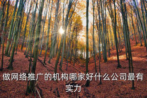 南陽哪里有網絡推廣哪家公司靠譜,做網絡推廣的機構哪家好