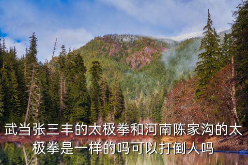 鄭州哪里有打太極的,在鄭州哪里可以學太極拳