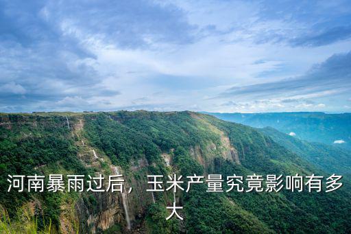 河南暴雨未來怎么辦,河南暴雨過后