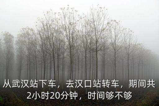 漢口站到武漢站地鐵怎么坐車,從武漢站下車