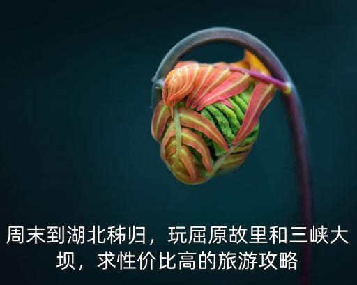 湖北三峽大壩怎么玩,如何玩轉(zhuǎn)湖北宜昌三峽大壩