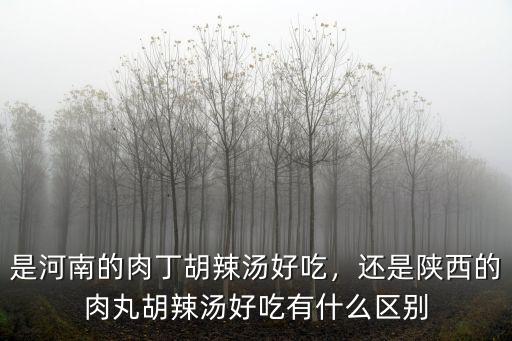 是河南的肉丁胡辣湯好吃，還是陜西的肉丸胡辣湯好吃有什么區別