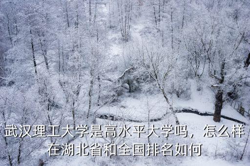 武漢理工大學是高水平大學嗎，怎么樣在湖北省和全國排名如何