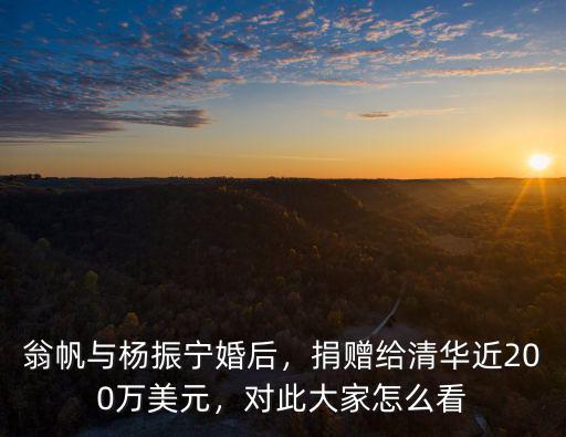楊振寧與翁帆捐河南多少錢,翁帆與楊振寧婚后