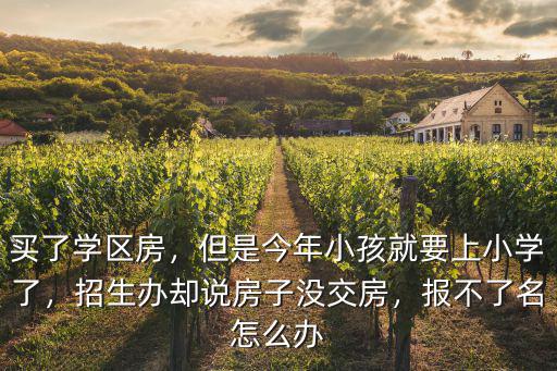 買了學(xué)區(qū)房，但是今年小孩就要上小學(xué)了，招生辦卻說房子沒交房，報不了名怎么辦