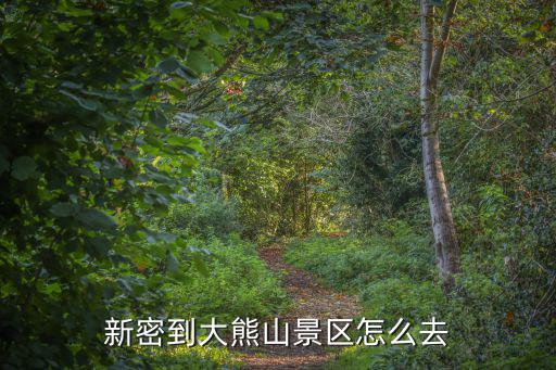 新密到大熊山景區(qū)怎么去