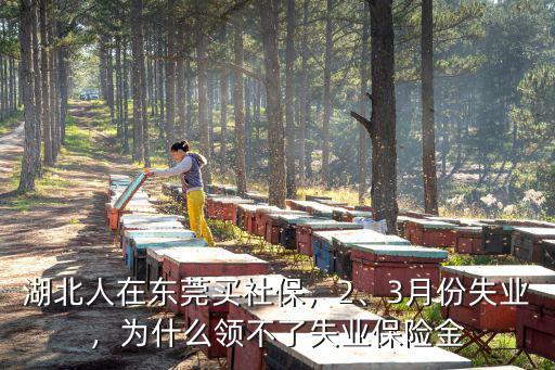 湖北人在東莞買社保，2、3月份失業，為什么領不了失業保險金
