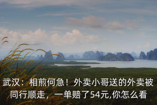 武漢：相煎何急！外賣小哥送的外賣被同行順走，一單賠了54元,你怎么看