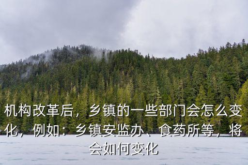 河南省鄉鎮安監怎么改,鄉鎮安監站會怎么改
