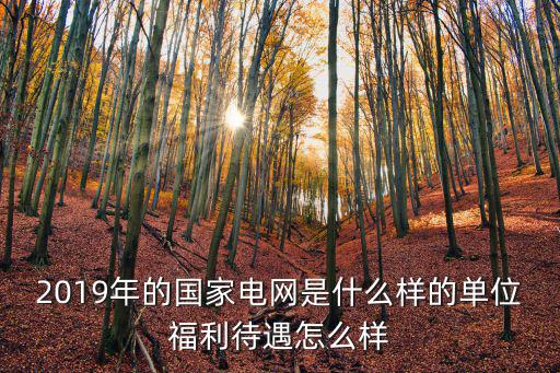 2019年的國家電網是什么樣的單位福利待遇怎么樣